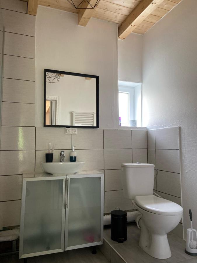 Le Chene: Petit Chalet Cosy Proche De Mulhouse Riedisheim Exteriör bild